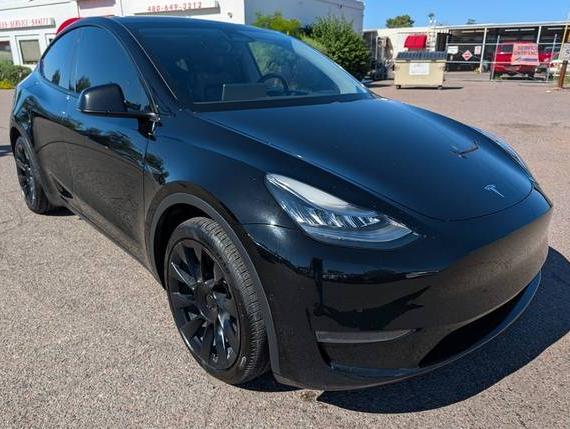 TESLA MODEL Y 2020 5YJYGDEE9LF020053 image